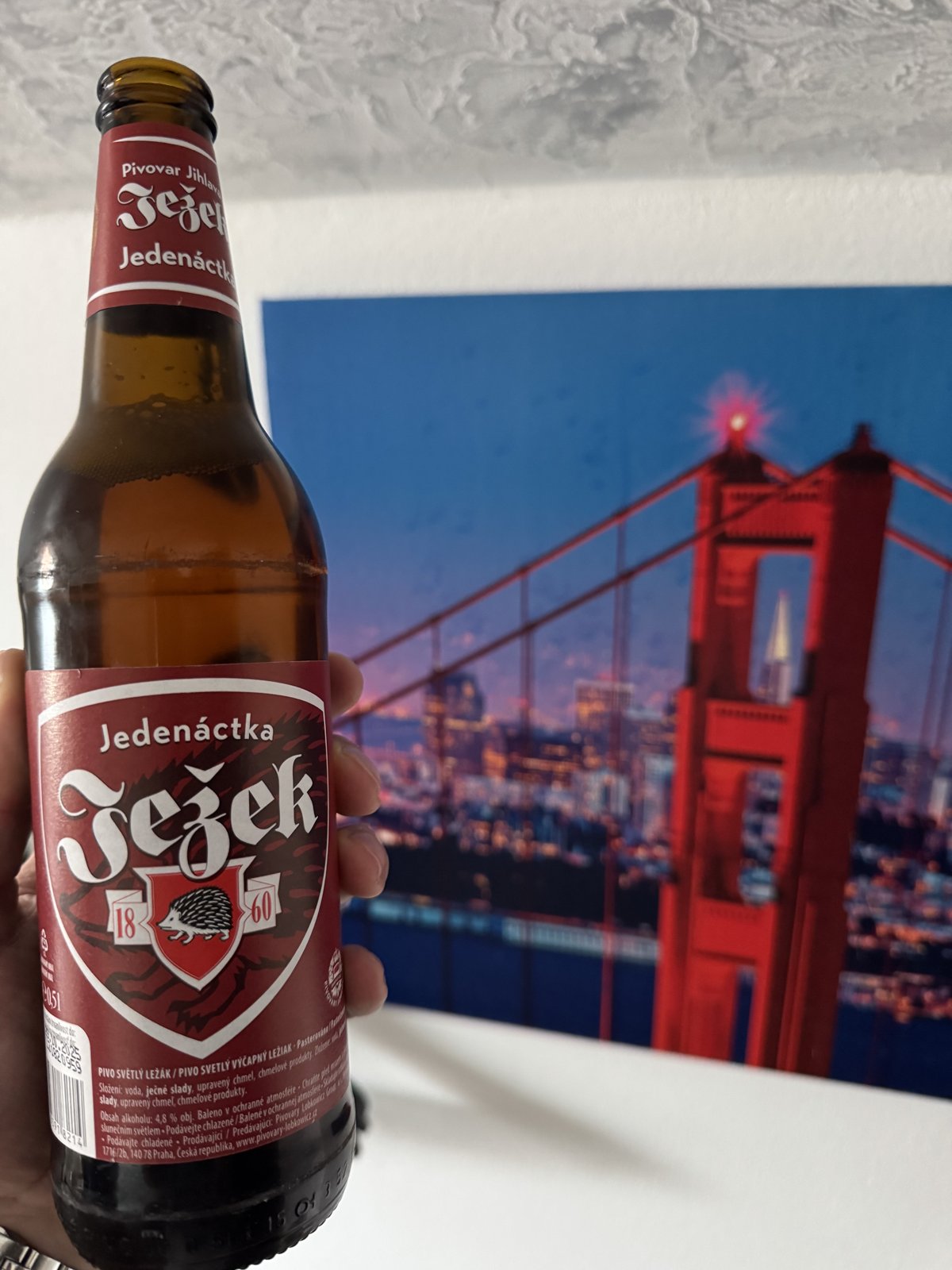 Lahvové pivo Ježek Jedenáctka z Pivovaru Jihlava držené v ruce