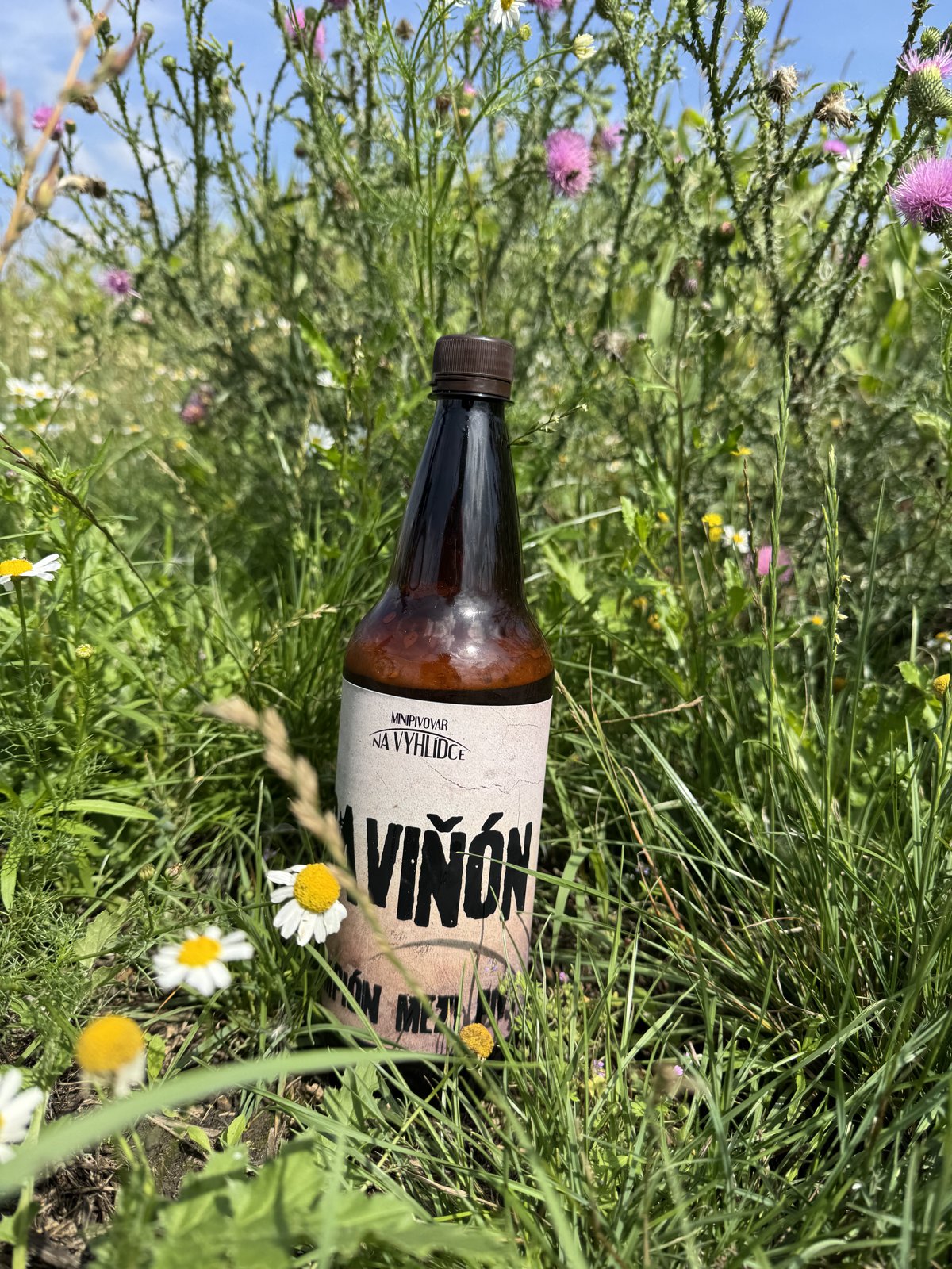 Lahev piva Saviňón z minipivovaru Na Vyhlídce položená v trávě mezi lučními květinami na jižní Moravě
