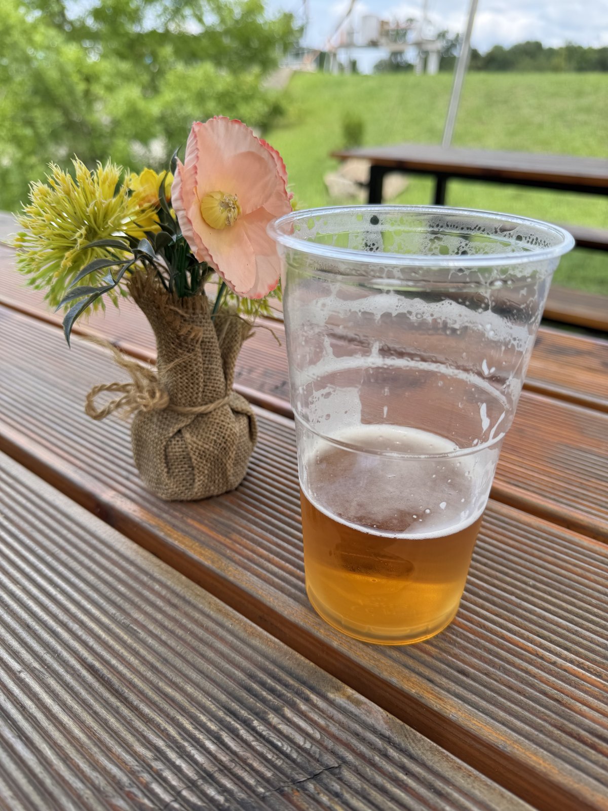 Sklenice plzeňského piva v plastovém kelímku na dřevěném stole u vody během cyklovýletu