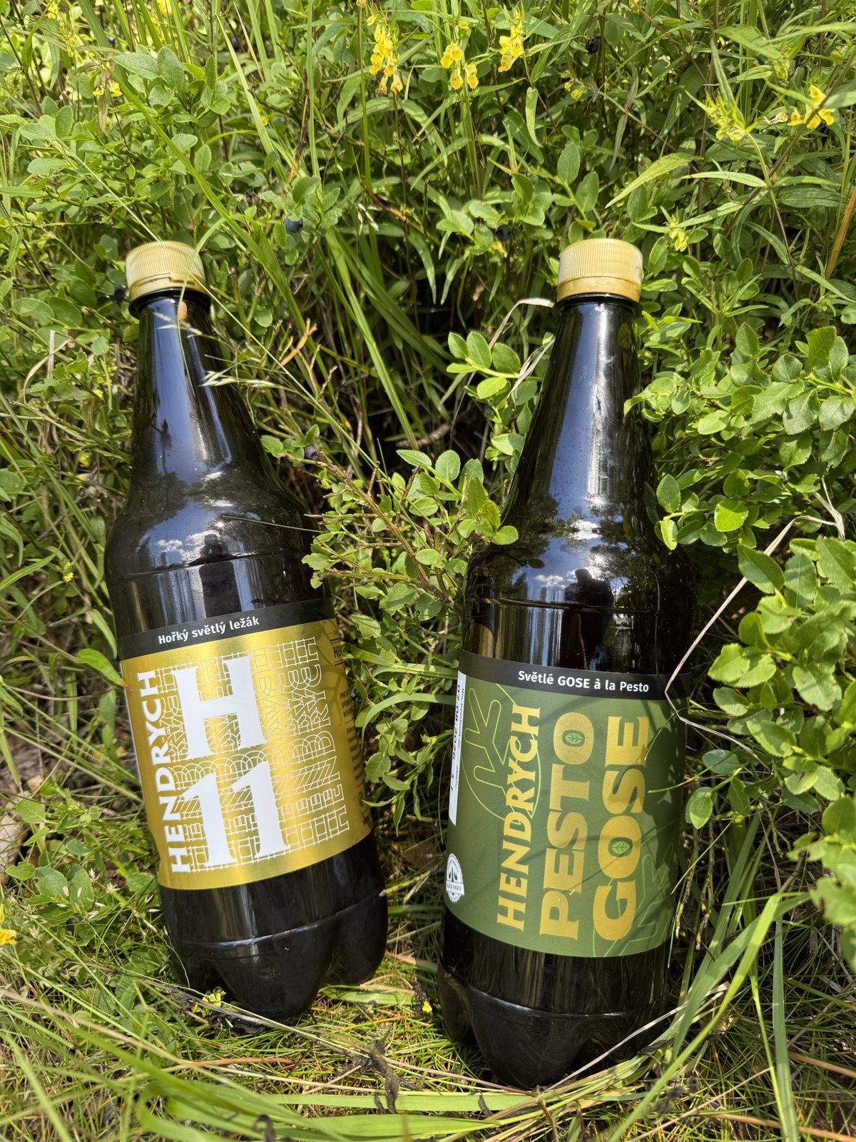 Lahve piva H11 a Pesto Gose z Pivovaru Hendrych položené v trávě