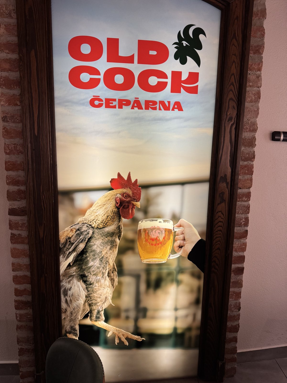 Plakát Old Cock Čepárny ve Znojmě s kohoutem a pivem