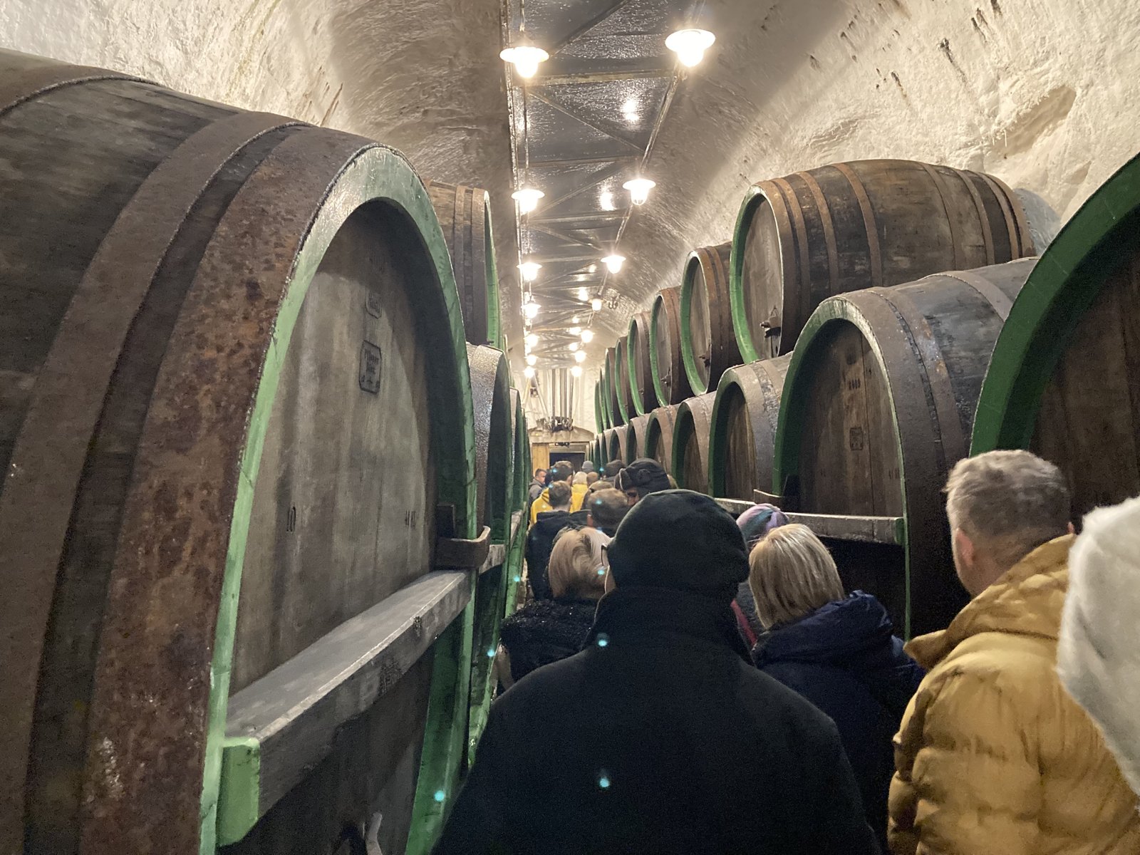 <strong>Sklepní labyrint</strong>, kde má pivo víc klidu než návštěvníci.